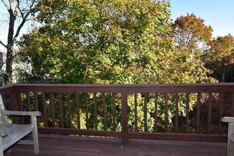 61 Maple St #P, Canton, MA 02021 photo 19