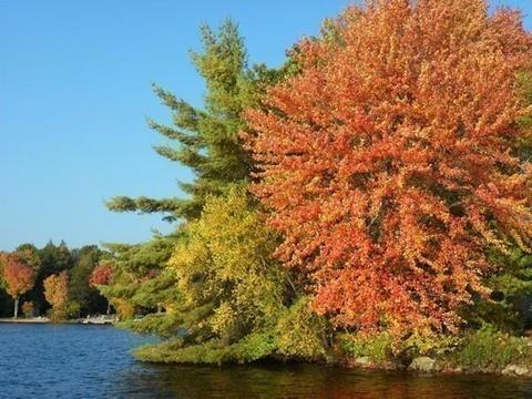 108 Dunn Rd, Ashburnham, MA 01430 photo 30