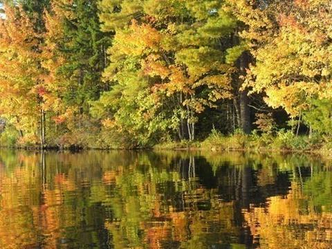 108 Dunn Rd, Ashburnham, MA 01430 photo 32