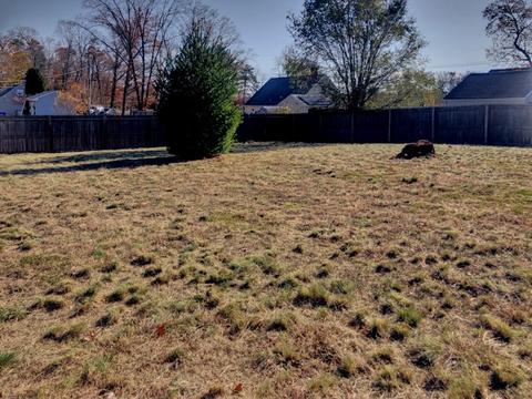 959 Bradley Rd, Springfield, MA 01119 photo 14