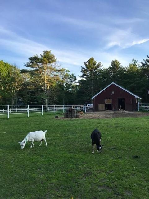 249 Purgatory Rd, Exeter, RI 02822 photo 29
