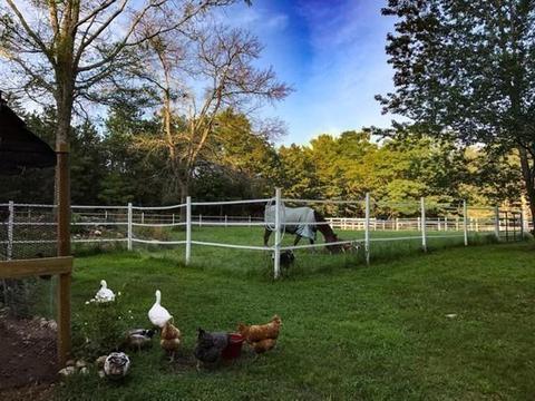 249 Purgatory Rd, Exeter, RI 02822 photo 30