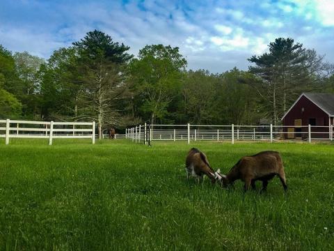 249 Purgatory Rd, Exeter, RI 02822 photo 33