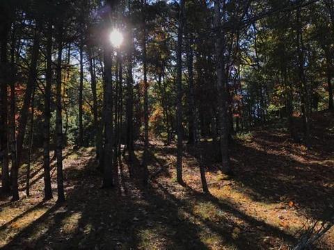 249 Purgatory Rd, Exeter, RI 02822 photo 38