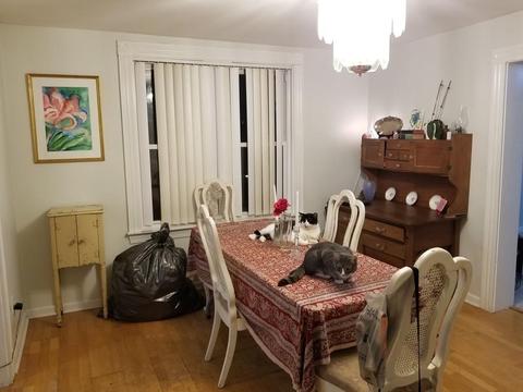 18 Mott St, Fall River, MA 02721 photo 16