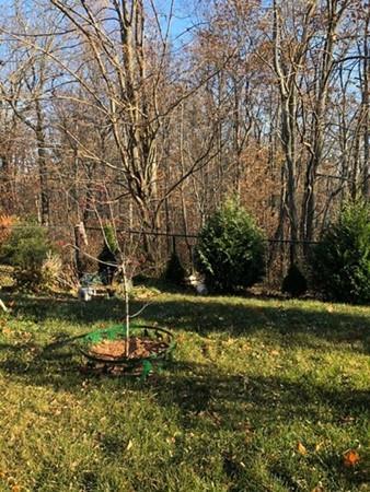 50 Nutmeg Dr, Worcester, MA 01603 photo 29