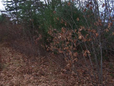 1587 White Pond Rd, Athol, MA 01331 photo 2