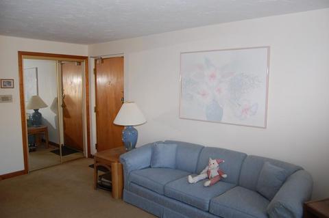 57 Will Dr #167, Canton, MA 02021 photo 4