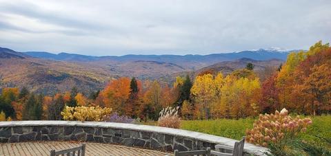 52 Wildflower Ln, Jackson, NH 03846 photo 2