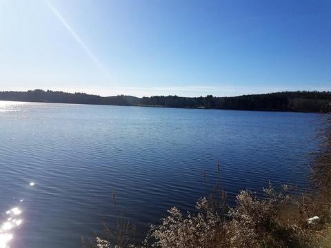 32 Pine Ln, Brookfield, MA 01506 photo 36