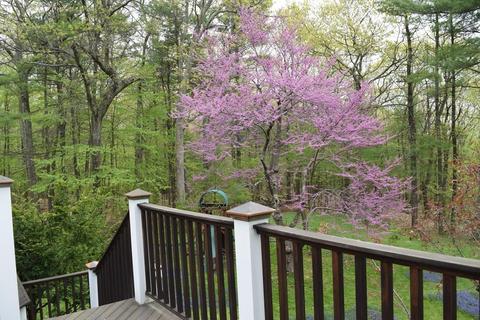 26 Partridge Hill Rd, Harvard, MA 01451 photo 40