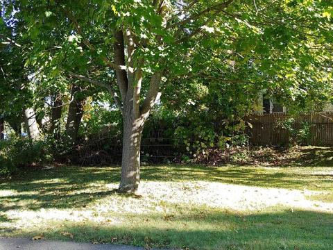 307 Mill St, Worcester, MA 01602 photo 7