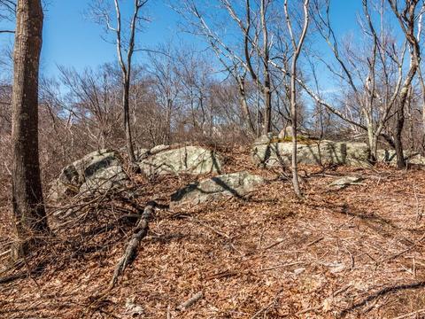18 Calder St, Gloucester, MA 01930 photo 2