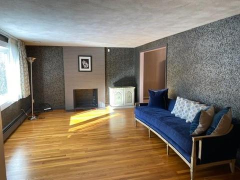 16 Petrini Cir, Needham, MA 02492 photo 7