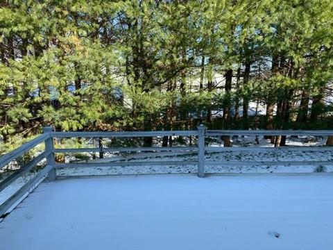 16 Petrini Cir, Needham, MA 02492 photo 3