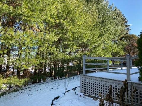 16 Petrini Cir, Needham, MA 02492 photo 2
