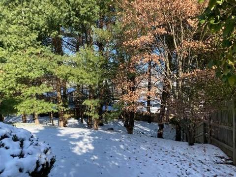 16 Petrini Cir, Needham, MA 02492 photo 25