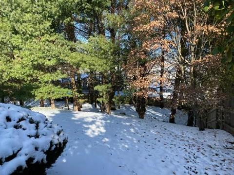 16 Petrini Cir, Needham, MA 02492 photo 4