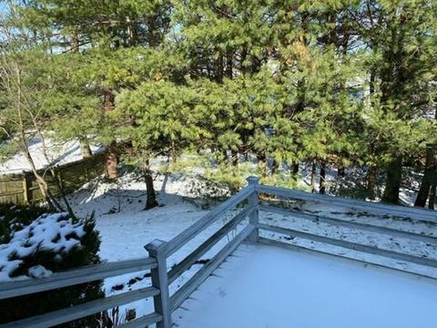 16 Petrini Cir, Needham, MA 02492 photo 27