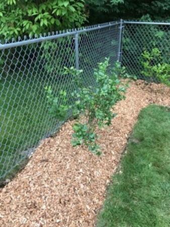 108 Devonshire Rd, Attleboro, MA 02703 photo 27