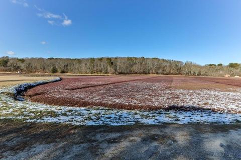 141 Bog, Barnstable, MA 02648 photo 4