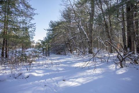 9 Brandywine Ter, Millis, MA 02054 photo 26