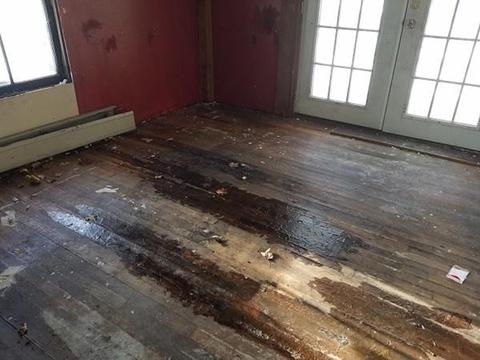 15 Webb Ct, Ware, MA 01082 photo 13