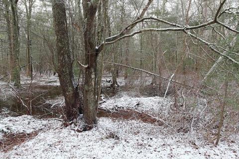 298 Mill Rd, Fairhaven, MA 02719 photo 37