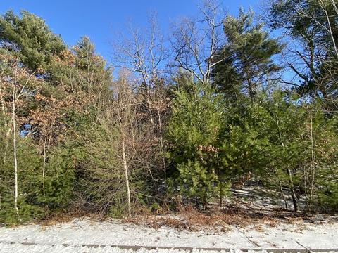 23 Frontier Dr, Walpole, MA 02081 photo 1