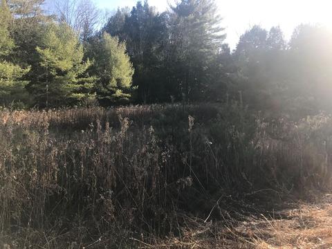 1045 Orange Rd, Warwick, MA 01378 photo 7