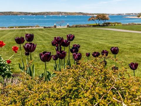 24 Eastern Point Blvd, Gloucester, MA 01930 photo 33