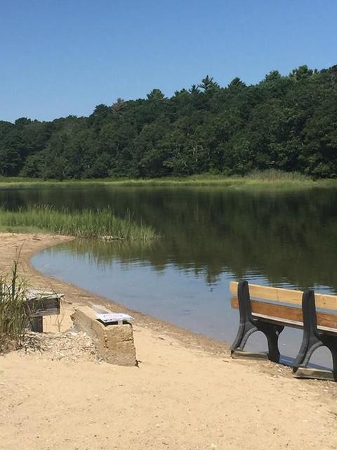 2 Agawam Beach Rd, Wareham, MA 02571 photo 30