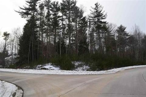 98 Olde Bridge Ln, Epping, NH 03042 photo 1