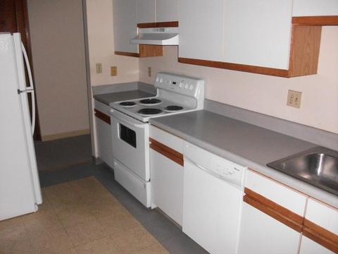 235 State St #221, Springfield, MA 01103 photo 7