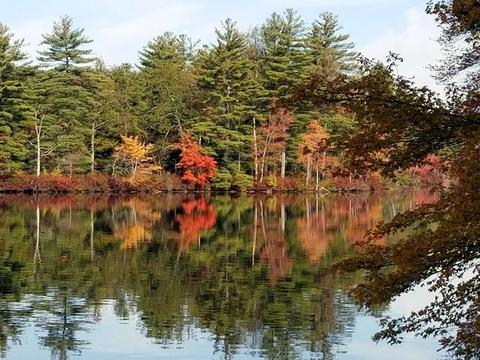 68 Shoreline Dr, Ware, MA 01082 photo 4
