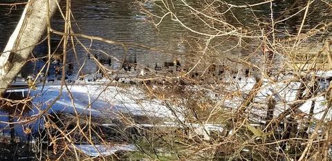 68 Shoreline Dr, Ware, MA 01082 photo 33