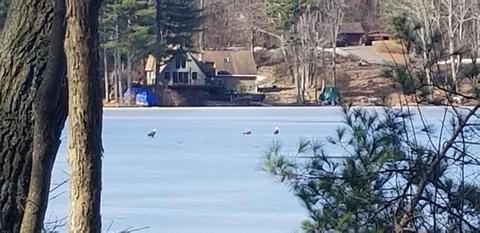 68 Shoreline Dr, Ware, MA 01082 photo 34