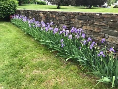 20 Highland St, Ware, MA 01082 photo 4