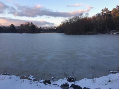 30 Forge Rd, Sharon, MA 02067 photo 23