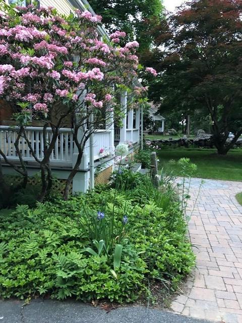 29 Prospect St, Acton, MA 01720 photo 20