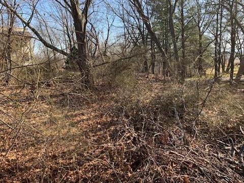 5 Adelaide Ave, Saugus, MA 01906 photo 11