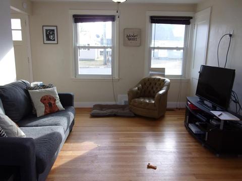 22 Mary St, Springfield, MA 01118 photo 12