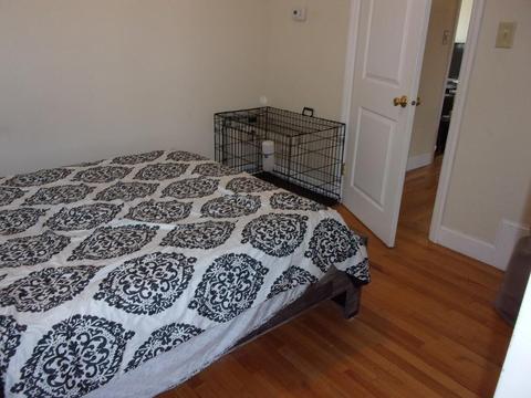 22 Mary St, Springfield, MA 01118 photo 19