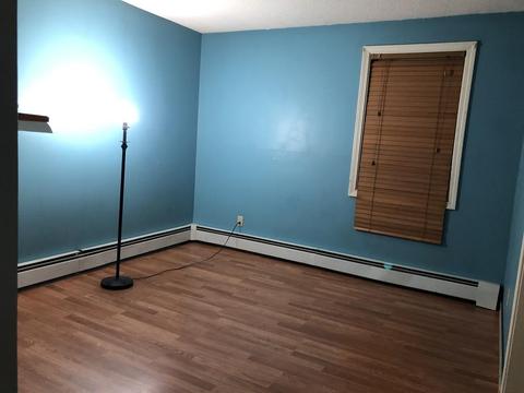 45 Orpheum Ave, Springfield, MA 01118 photo 13