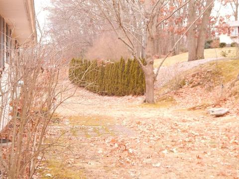 25 Isabel St, Fall River, MA 02721 photo 4