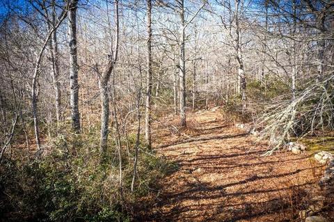 113 Amy Hart Path, Little Compton, RI 02837 photo 15