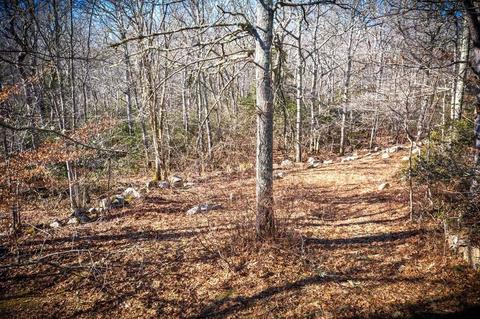 113 Amy Hart Path, Little Compton, RI 02837 photo 31
