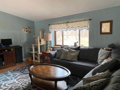 20 Cunningham Dr, Derry, NH 03038 photo 4