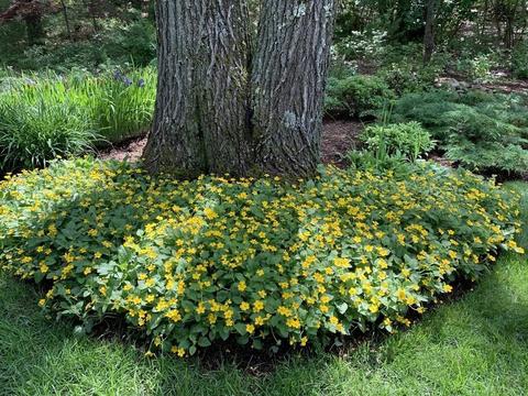 9 Crest Dr, Dover, MA 02030 photo 28