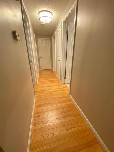 34 Brewster St, Springfield, MA 01119 photo 17